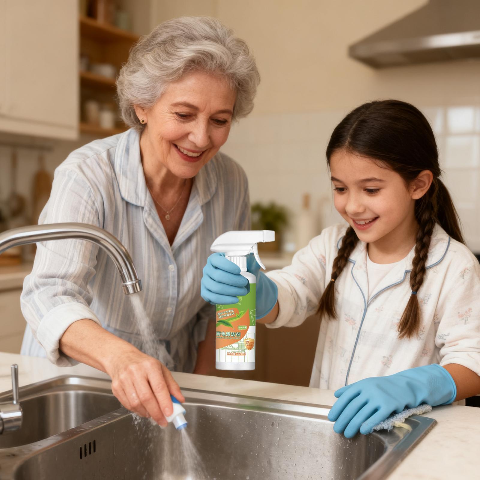 Powerful Kitchen Degreaser Spr - Commercial Kitchen Appliances のレビューと価格