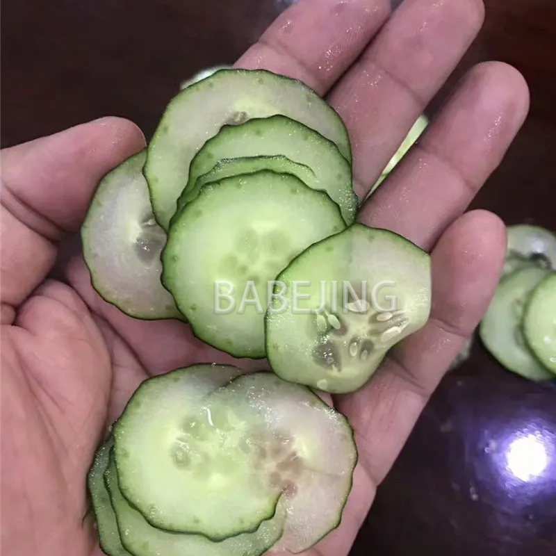 Electric Mini Scallion Chopper - Commercial Kitchen Appliances のレビューと価格